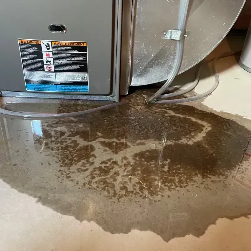 Appliance Leak Cleanup in Belle Vernon, PA